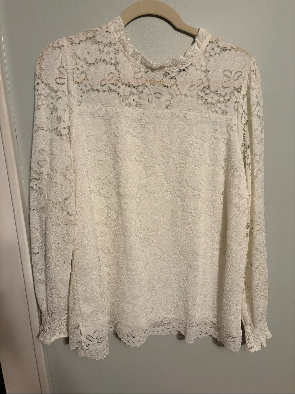 Adrianna Papell Ivory Lace Long-Sleeve Blouse